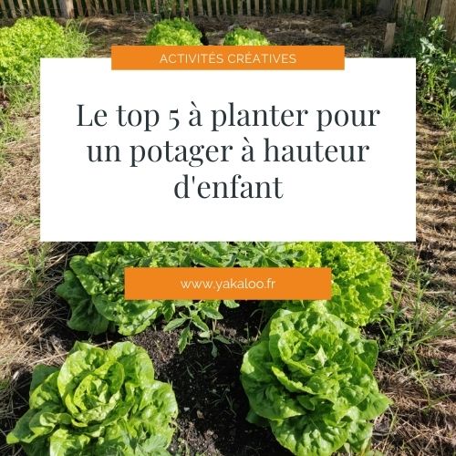Le top 5 à planter pour un potager à hauteur d’enfant