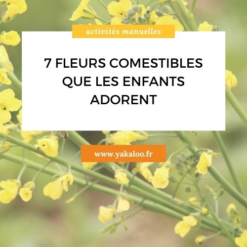 7 fleurs comestibles que les enfants adorent