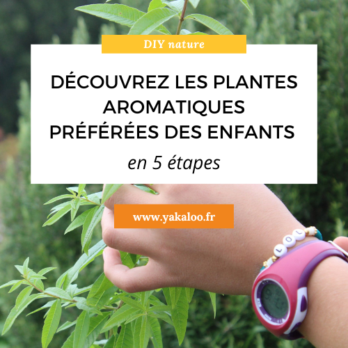 Les plantes aromatiques préférées des enfants