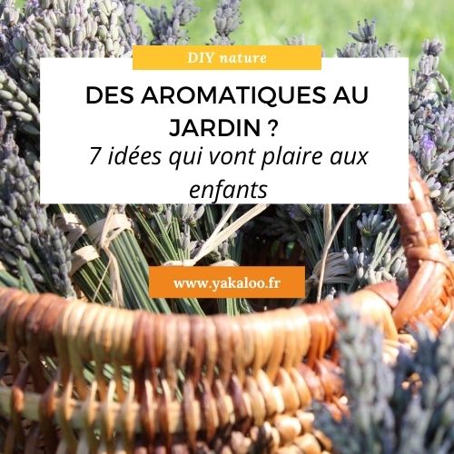 Comment utiliser ses plantes aromatiques : 7 idées