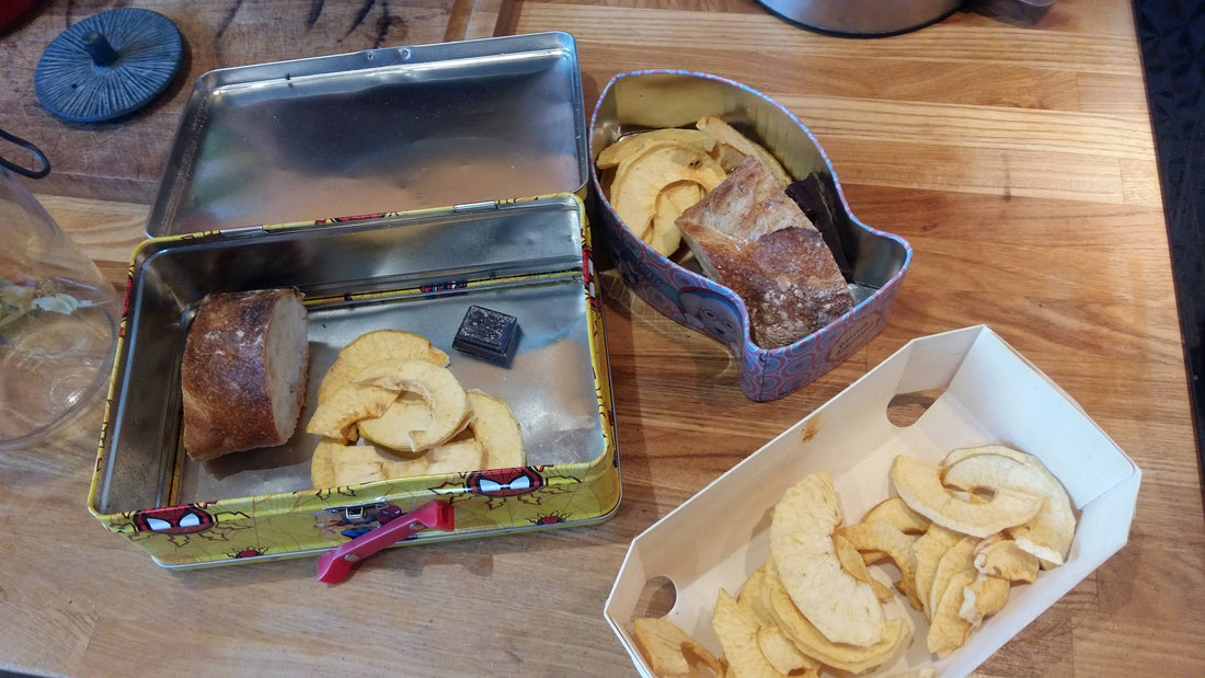 Des pommes séchées : le gouter parfait
