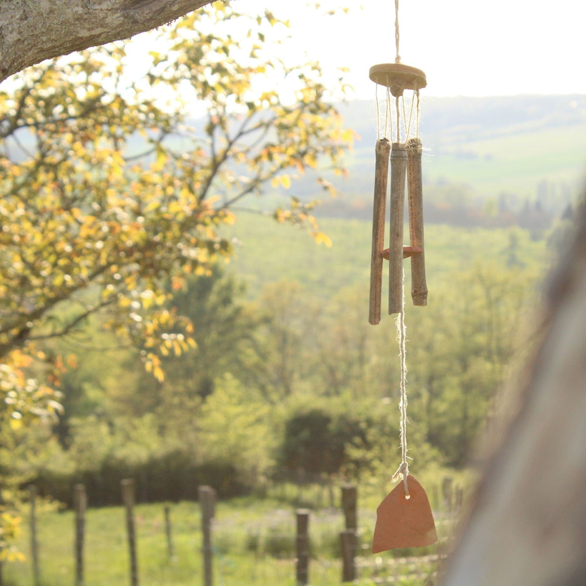 Coffrets d'activités nature pour les enfants dès 5 ans