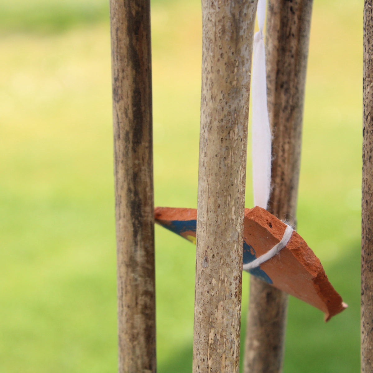 Coffrets d'activités nature pour les enfants dès 5 ans